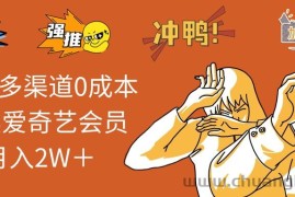 （10877期）2024多渠道0成本售卖爱奇艺会员月入2W＋