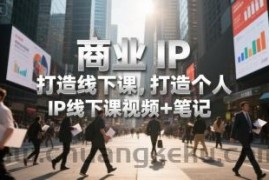 商业IP打造线下课，打造个人 IP线下课视频+笔记