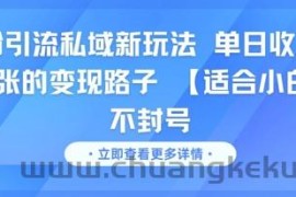 男粉引流私域新玩法，单日收益达10张的变现路子 【适合小白】不封号