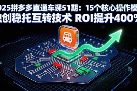 （16020期）2025拼多多直通车课51期：15个核心操作模块 独创稳托互转技术 ROI提升400%