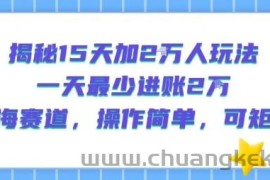 揭秘15天加2W人玩法，一天最少2万进账，蓝海赛道，操作简单，可矩阵