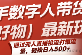 快手数字人带货（好物）最新玩法，通过无人直播投流打爆流量，轻松日入500+