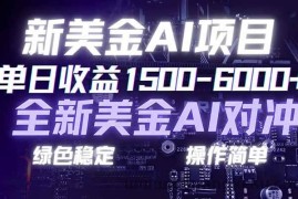 （17140期）日赚1500-6000+，新美金 AI 对冲项目，合规稳定，小白易上手，创业副业优选，可复制放大