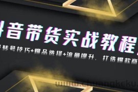 （13526期）抖音带货实战教程：起号转号技巧+爆品选择+流量提升，打造爆款商品