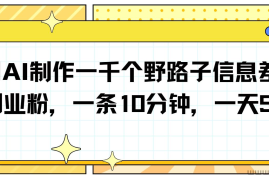 利用AI制作一千个野路子信息差引流创业粉，一条10分钟，一天50+