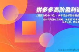 （17252期）拼多多高阶盈利课(更新2026-1月)：从市场分析到诊断优化、微付费与强付费策略，掌握系统运营