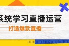 （12802期）系统学习直播运营：掌握起号方法、主播能力、小店随心推，打造爆款直播