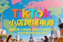 TikTok小店跨境电商，基础设置/工具使用/运营技巧/数据分析，全程实操导向开店全流程