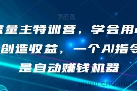 AI流量主特训营，学会用chatgpt创造收益，一个AI指令就是自动赚钱机器