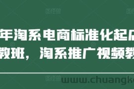 2025年淘系电商标准化起店流程私教班，淘系推广视频教程