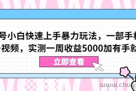 视频号小白快速上手暴力玩法，一部手机，一条视频，实测一周收益5000加有手就行【揭秘】