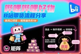 哔哩哔哩好物，B站带货流程分享，新风口项目，矩阵操作月1W
