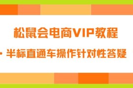 松鼠会电商VIP教程：松鼠《付费推广标品·半标直通车操作针对性答疑&amp;诊断》