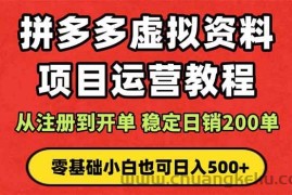 （16220期）拼多多开店运营课程： 蓝海变现玩法，轻松实现睡后收入 零基础小白也可…