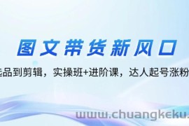 （12306期）图文带货新风口：从选品到剪辑，实操班+进阶课，达人起号涨粉实战