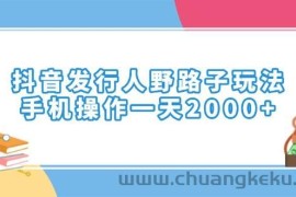 （14041期）抖音发行人野路子玩法，手机操作一天2000+