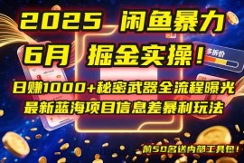 （14964期）2025闲鱼暴力掘金实操！日赚1000+秘密武器全流程曝光，最新蓝海项目信…