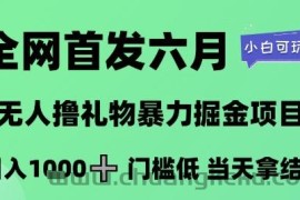 全网首发六月，无人撸礼物暴力掘金项目，日入1K+门槛低，当天拿结果，小白可玩【揭秘】