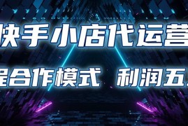 快手小店代运营 限时托管计划 合作模式 利润五五分成