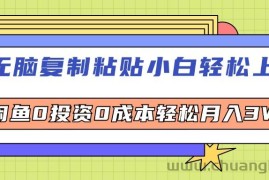 （12258期）无脑复制粘贴，小白轻松上手，电商0投资0成本轻松月入3W+