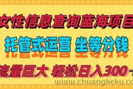 （15216期）稳定日入300＋，小众信息查询蓝海项目，全程懒人式托管，解放你的时间