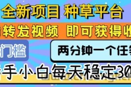 全新项目 种草平台 只需要转发任务视频 即可获得收益 新手小白每天稳定3张+【揭秘】