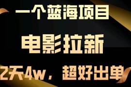 （13396期）【蓝海项目】电影拉新，两天搞了近4w，超好出单，直接起飞