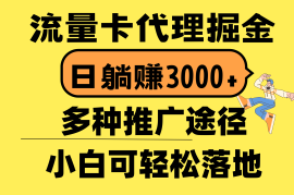 （10771期）流量卡代理掘金，日躺赚3000+，首码平台变现更暴力，多种推广途径，新…