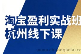 淘宝盈利实战班杭州线下课12月26-28日（音频+字幕），帮你掌握SOP流程+12门核心技术