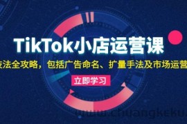 （13063期）TikTok小店运营课：投流技法全攻略，包括广告命名 扩量手法及市场运营方法