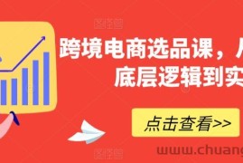 跨境电商选品课，从选品到底层逻辑到实战