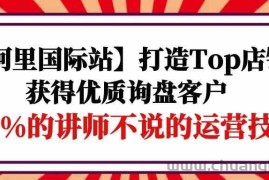 （9976期）【阿里国际站】打造Top店铺-获得优质询盘客户，95%的讲师不说的运营技巧