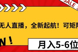 （13946期）淘宝无人直播，全新起航！可矩阵操作，月入5-6位数！