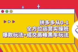 拼多多从0-1全方位运营实操班：爆款玩法+成交高峰黑车玩法