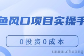 （11923期）闲鱼风口项目实操手册，0投资0成本，让你做到，月入过万，新手可做