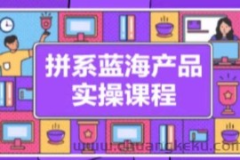 拼系冷门蓝海产品实操课程，从注册店铺到选品上架到流量维护环环相扣