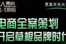 贾真老师的半天大课，电商全案策划，全程打开自己后台店铺讲这个案例