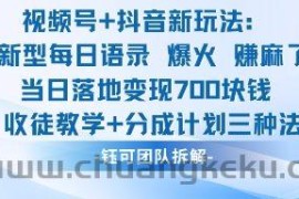 视频号加抖音新玩法：爆火新型每日语录，收徒教学加分成计划，三种变现玩法，当日变现7张