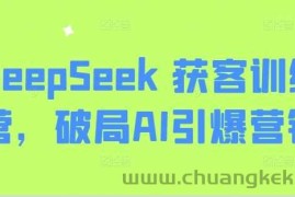 DeepSeek 获客训练营，破局AI引爆营销