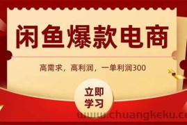 （15422期）闲鱼高利润电商，入门到出单只需3小时，每天利润1000+
