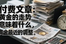 付费文章：黄金的走势意味着什么，如何看待黄金最近的调整