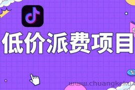 抖音低价派单项目，0门槛，日入1000+很轻松，小白可操作【揭秘】