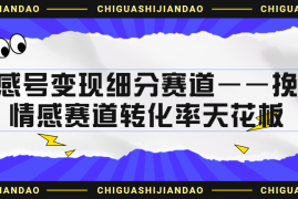 （6752期）情感号变现细分赛道—挽回，情感赛道转化率天花板（附渠道）