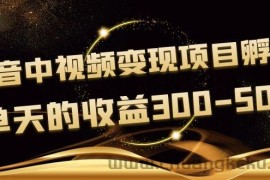 （3794期）黄岛主《抖音中视频变现项目孵化》单天的收益300-500 操作简单粗暴