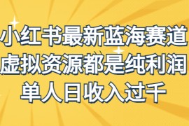 （6721期）外面收费1980的小红书最新蓝海赛道，虚拟资源都是纯利润，单人日收入过千