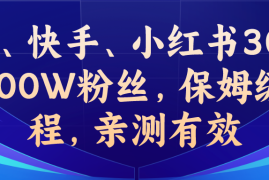 (6647期)教你一招，抖音、快手、小红书30S突破100W粉丝，保姆级教程，亲测有效