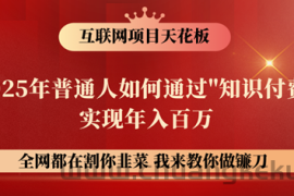 镰刀训练营超级IP合伙人，25年普通人如何通过“知识付费”年入百万！