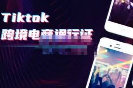 亿启出航·Tiktok跨境电商通行证2.0，包含Tiktok账号运营，跨境支付，跨境物流，跨境直播等