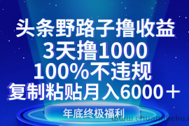 头条野路子撸收益，3天撸1000，100%不违规，复制粘贴月入6000＋