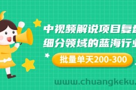 （3241期）某付费文章：中视频解说项目复盘：细分领域的蓝海行业 批量单天200-300收益